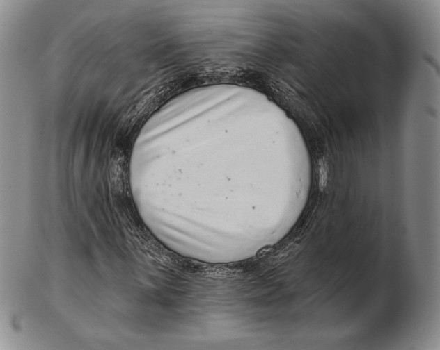 X0000102361059200808221711