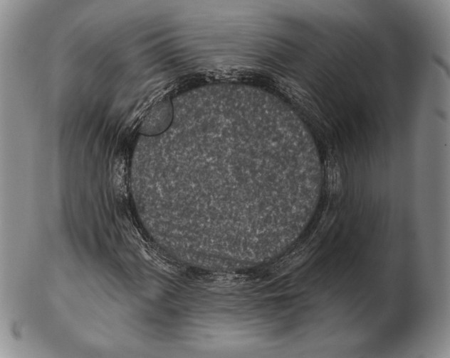 X0000102361060200808221711