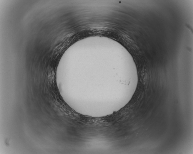 X0000102361061200808221711