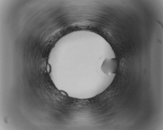 X0000102361062200808221711