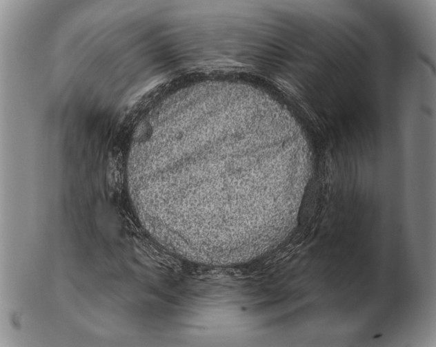 X0000102361063200808221711