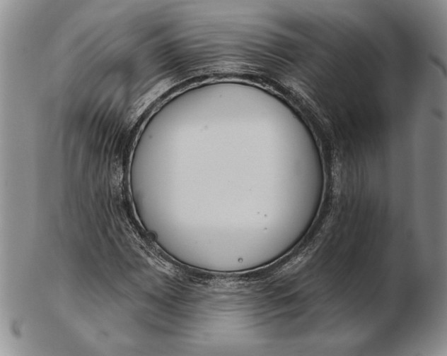 X0000102361065200808221711