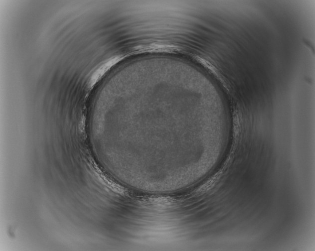 X0000102361066200808221711