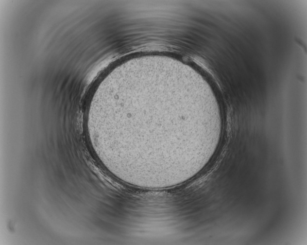 X0000102361067200808221711