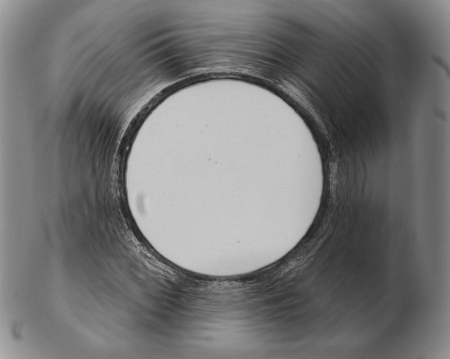 X0000102361068200808221711