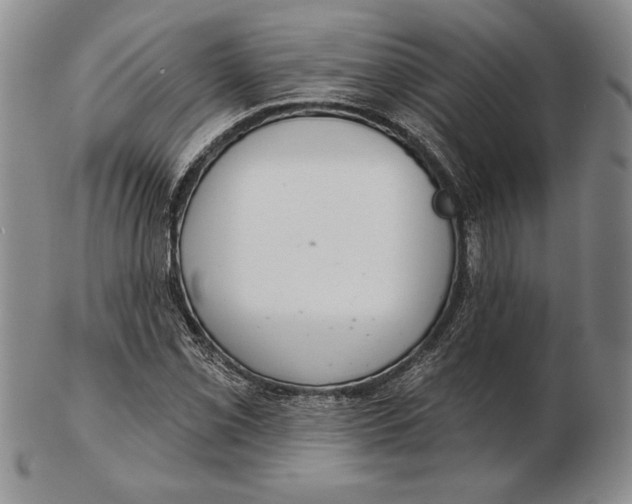 X0000102361069200808221711