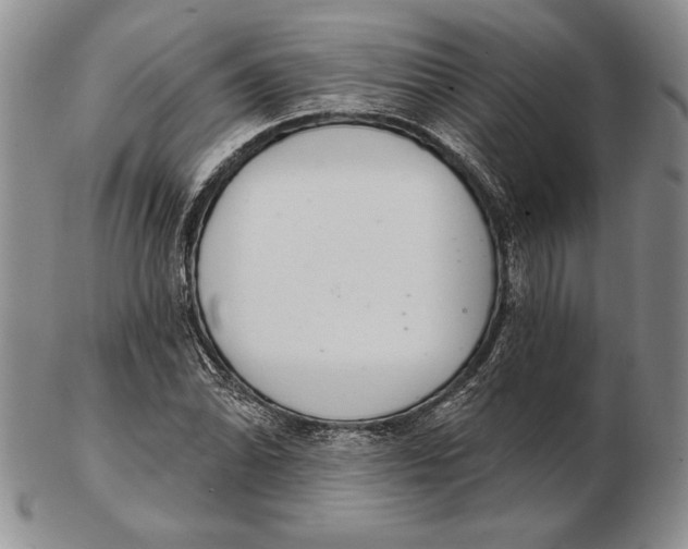 X0000102361070200808221711