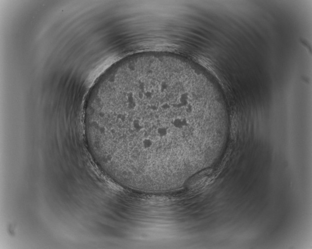 X0000102361071200808221711