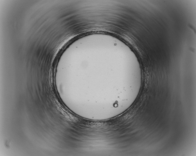 X0000102361076200808221710