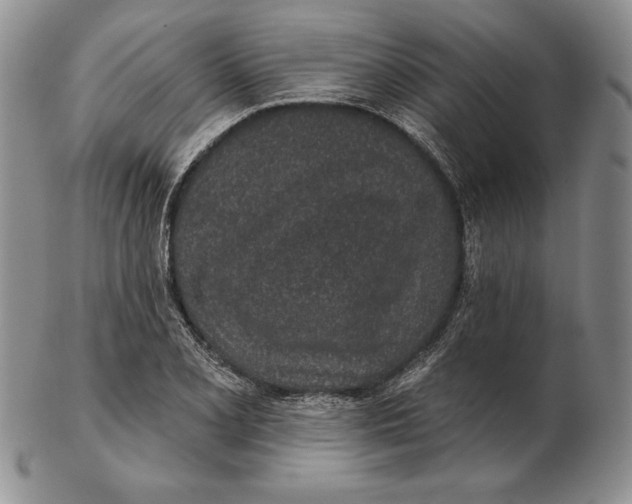 X0000102361077200808221710