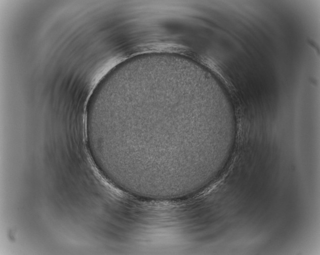 X0000102361079200808221710