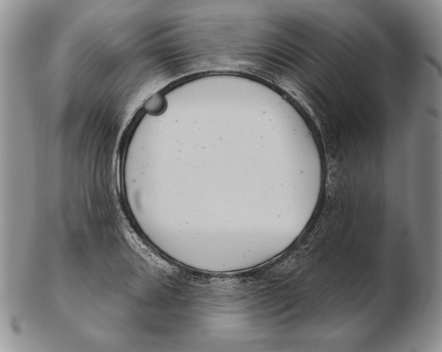 X0000102361080200808221710