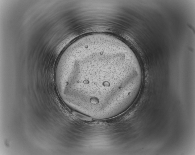 X0000102361081200808221710