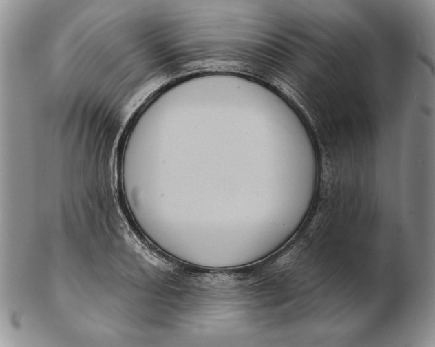 X0000102361082200808221710