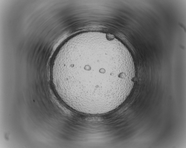 X0000102361083200808221710