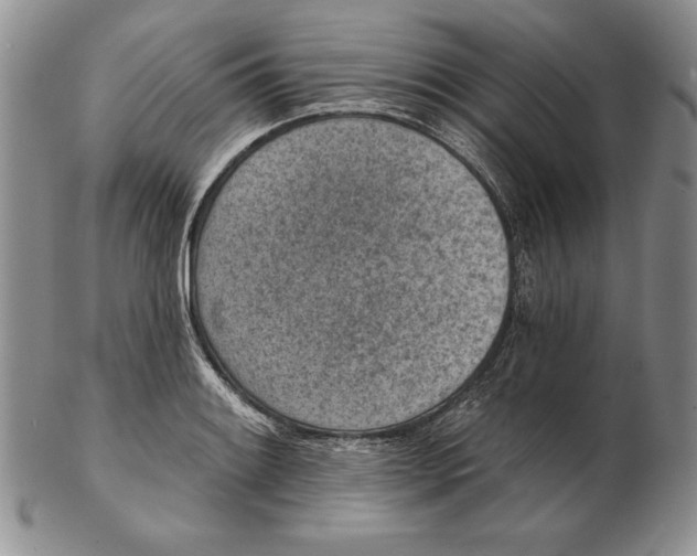 X0000102361084200808221710