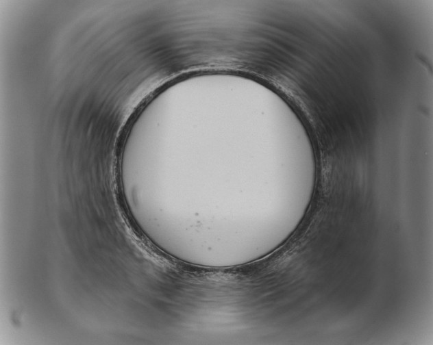 X0000102361085200808221710