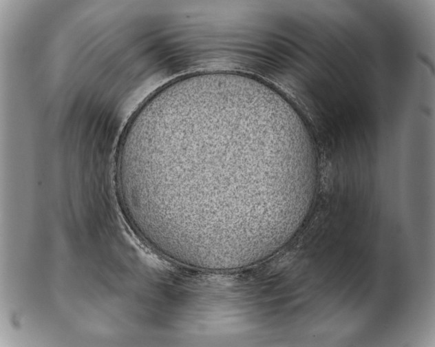 X0000102361086200808221710