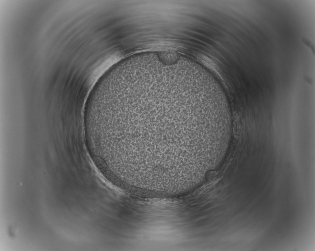 X0000102361087200808221710