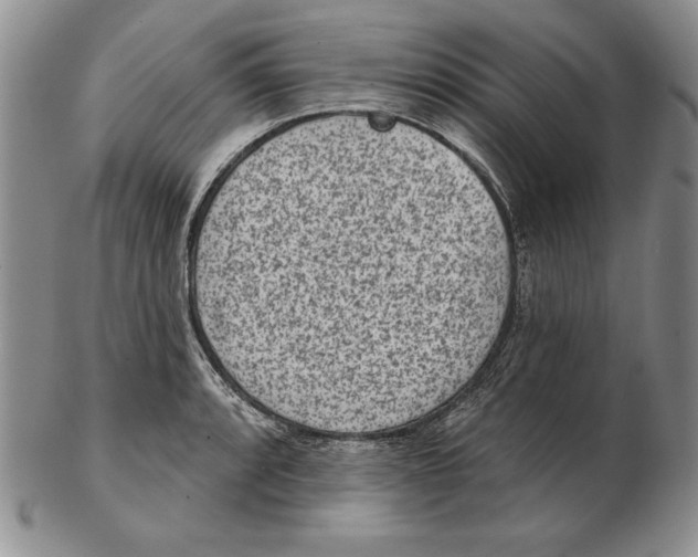 X0000102361088200808221710