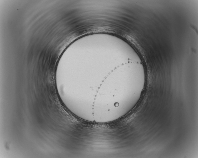 X0000102361089200808221710