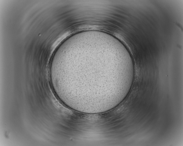 X0000102361090200808221710