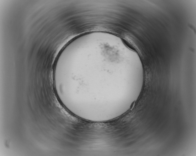 X0000102361092200808221710