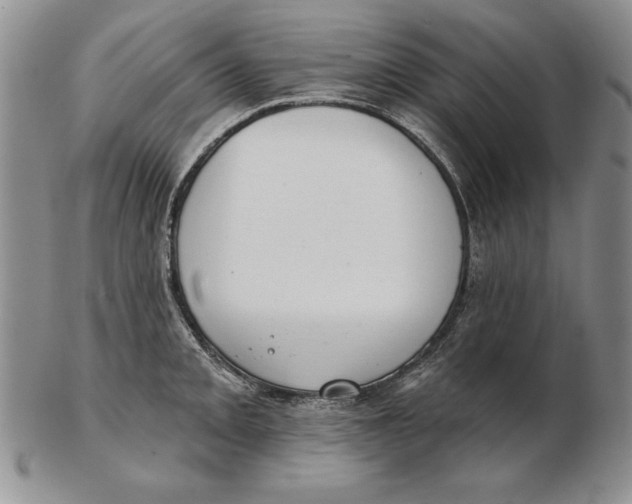 X0000102361093200808221710