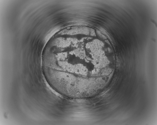 X0000102361095200808221710