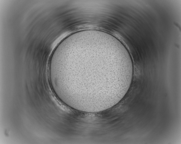 X0000102361098200808221710