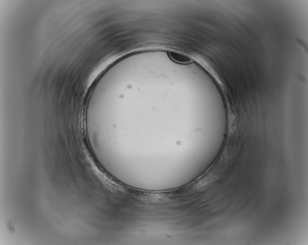 X0000102361101200808221710