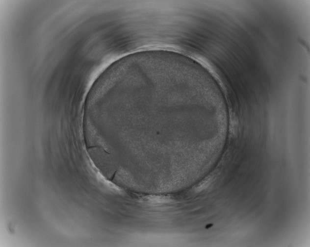 X0000102361102200808221710