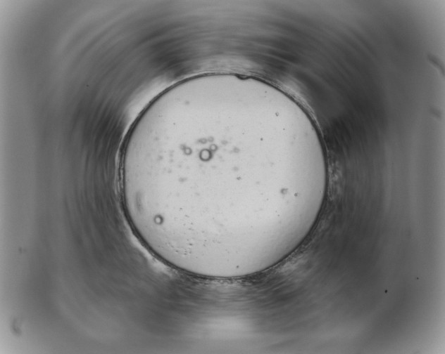 X0000102361103200808221710