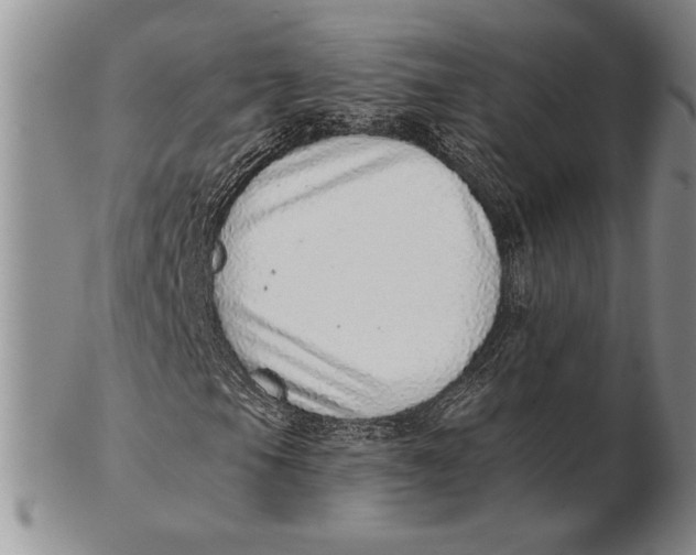 X0000102361105200808221709