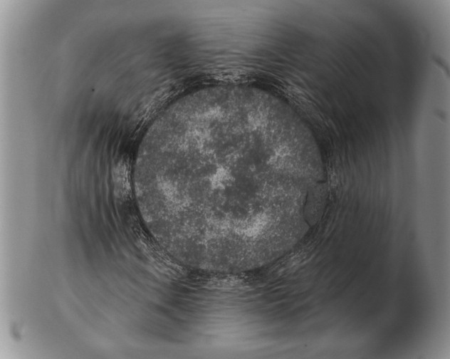 X0000102361106200808221709