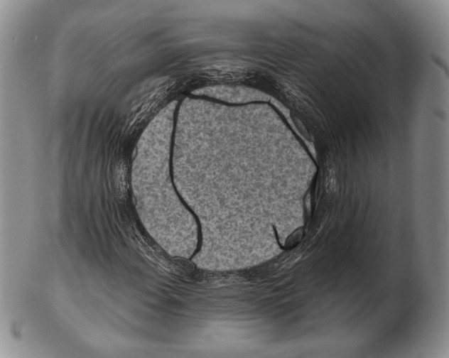 X0000102361108200808221709