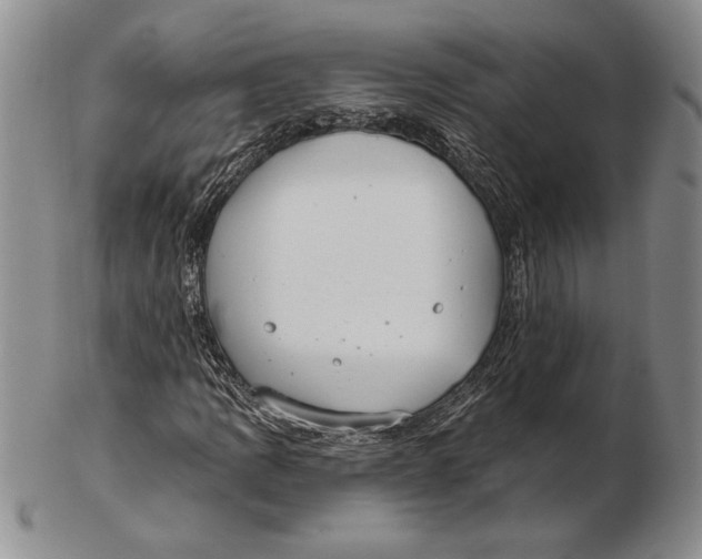 X0000102361109200808221709