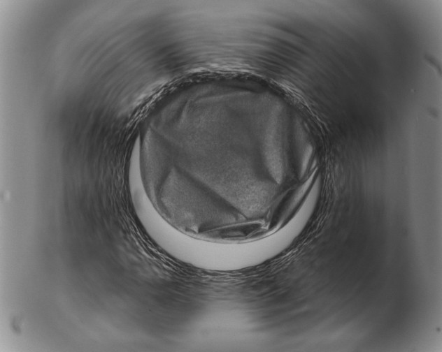 X0000102361110200808221709