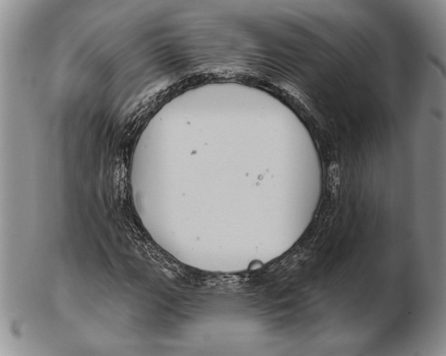 X0000102361111200808221709