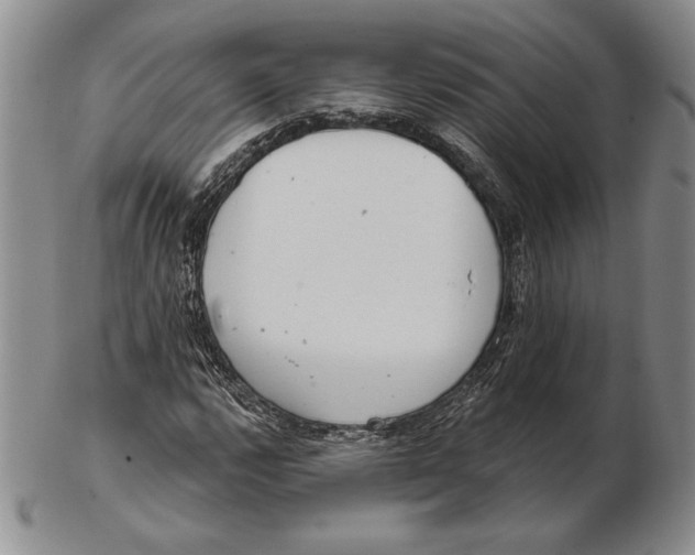 X0000102361112200808221709