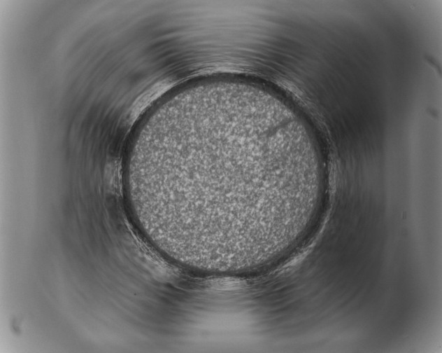 X0000102361113200808221709