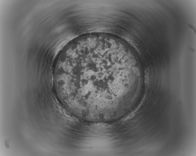 X0000102361117200808221710