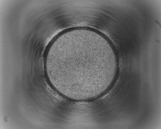 X0000102361118200808221710