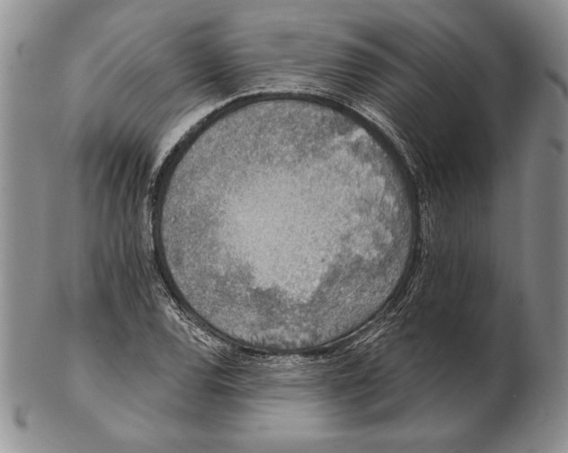 X0000102361120200808221710