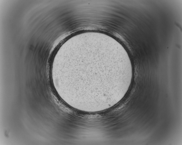 X0000102361122200808221710