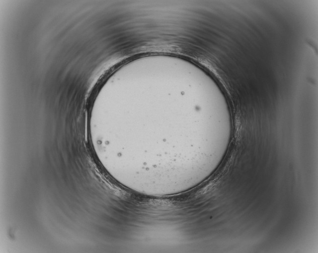 X0000102361123200808221710