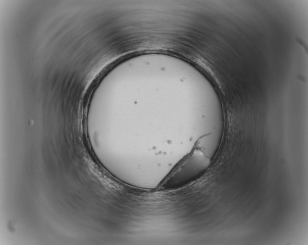 X0000102361124200808221710