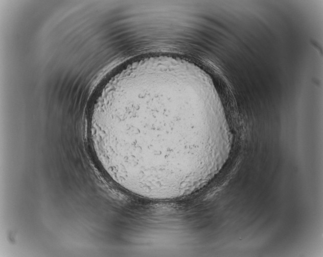 X0000102361125200808221710