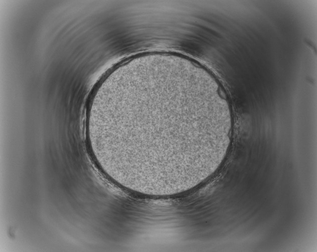 X0000102361126200808221710