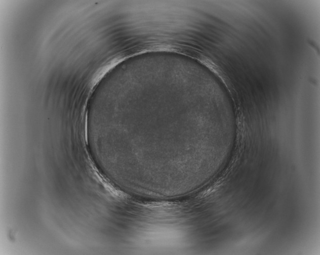 X0000102361127200808221710